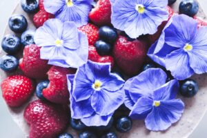 Vegan Blueberry Cake